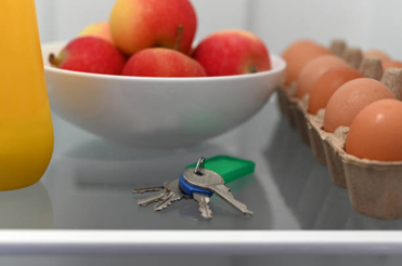 Inside a fridge: a bowl of red apples, a carton of eggs, a yellow bottle, and a keyring with a green tag on a glass shelf.