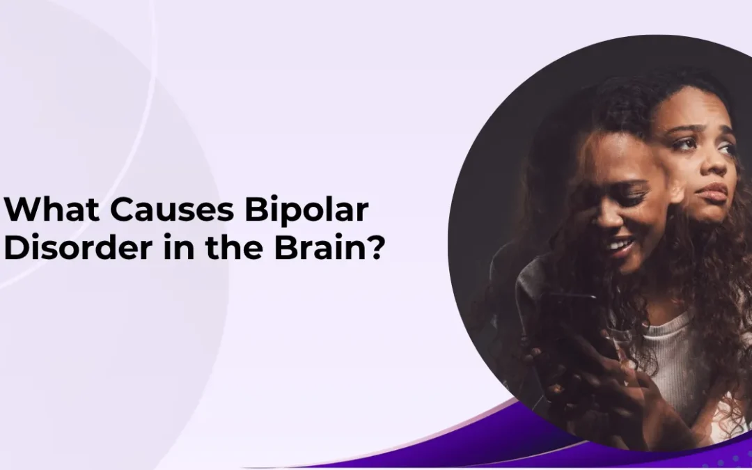 Hero banner showing the title 'What Causes Bipolar Disorder in the Brain?' with a circular portrait on a purple abstract background, conveying educational content about bipolar disorder.